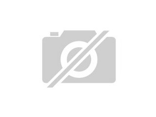 Verkaufe Kutsch-Leder- Geschirr